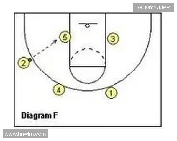 重庆排球队快攻战术解析与实战应用探讨