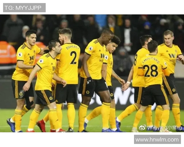 都灵对阵狼队比赛分析与推荐策略详解